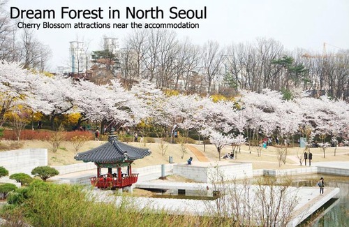 Jangwi-dong Apartment | Stay in North Seoul