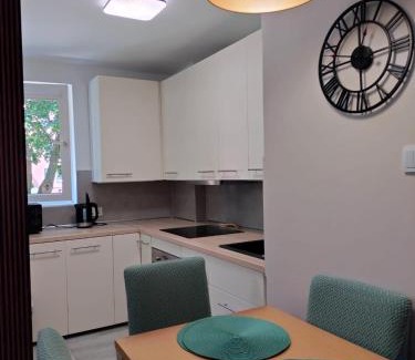 Old Town Apartment | Stay in Żabi Kruk