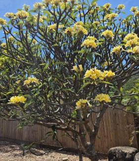 Nelly Bay House | Stay on Sooning