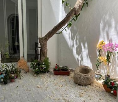 Medina House | Stella Maris