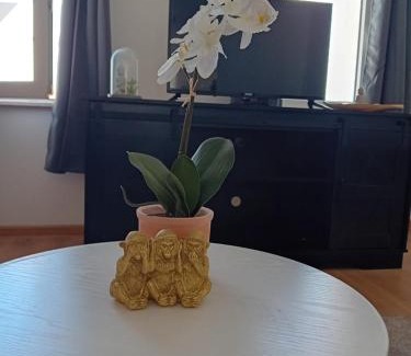 Crimmitschau Apartment | Stellas Monteurwohnungen