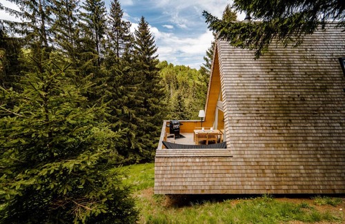 Fundata Cabin | Strajerii Verzi