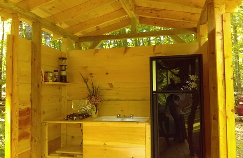 Bingham Cabin | Streamside Campsite plus tiny cabin combines classic camping with rustic charm!