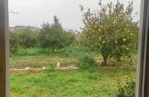 Ariana Governorate Apartment | Studette à la Ferme