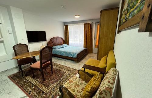 Oltingue Apartment | Studio 1 room 25 sqf