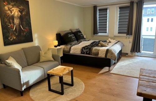 Mickten Apartment | Studio an der Elbe mit Balkon, Küche und Netflix