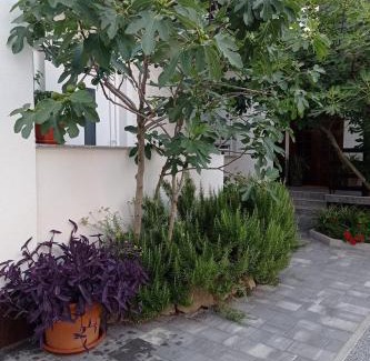 Bjelovar Apartment | Studio Apartman Škudar