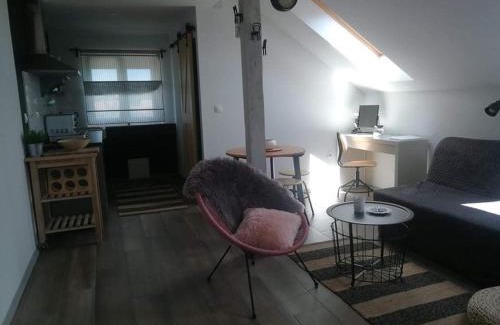 Dreznik Grad Apartment | Studio apartman HANA