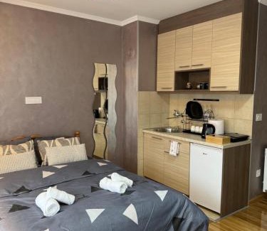 Uzice Apartment | Studio apartman S