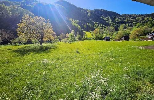 Bohinjska Bela Apartment | Studio apartment for 2, big windows, nature, balcony, 5min from Bled