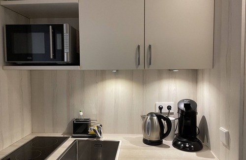 Old Town Apartment | Studio Apartment 'Nr 3 Haus Stiegeler Augustinerplatz' with Balcony and Wi-Fi