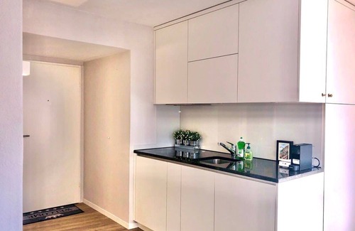 Niederdorf Apartment | Studio Apt in Charming Zurich Old Town M07