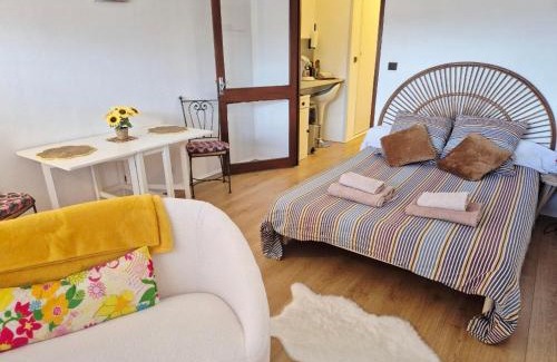 Saint-Gaudens Apartment | Studio Balcon-chaleureux-lumineux