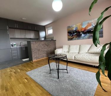 Cacak Apartment | Studio Bauhaus
