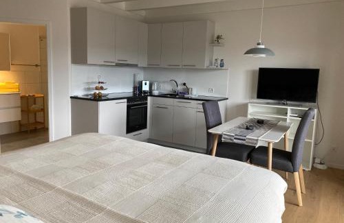 Saint Gallenkappel Apartment | Studio Bergblick