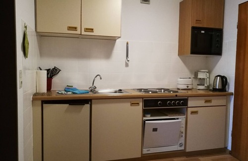 Menzenschwand-Hinterdorf Apartment | Studio B5 for 2 people