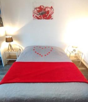 Saint-Romain-sur-Cher Apartment | Studio Les coquelicots