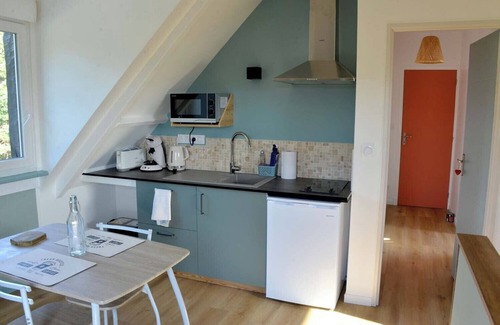 Nouan-sur-Loire Apartment | Studio on the banks of a Sologne pond, near Chambord and the Loire.