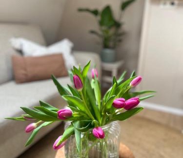 Winsum Apartment | Studio Perron 10