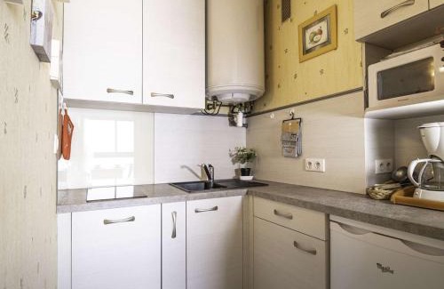 Pla d'Adet Apartment | Studio proche pistes ski avec parking, lumineux et calme - FR-1-296-330
