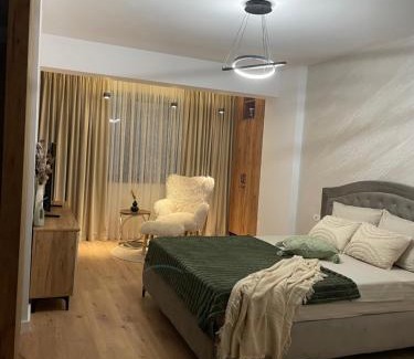 Ramnicu Valcea Apartment | Studio Sara