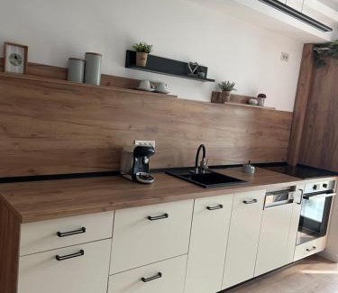 Ramnicu Valcea Apartment | Studio Sara