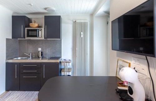 Leontica Apartment | Studio Studio Lepontica by Interhome