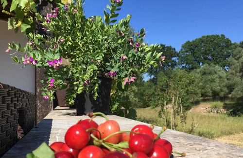 Coreggia Other | Stunning Trullo With Private Pool, Panoramic Views & Private Olive Grove - 6/8