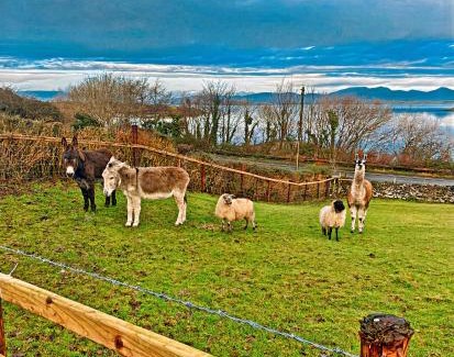 Westport House | Stunning Westport Cottage - Sleeps 6
