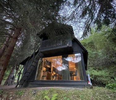 Bulz Ski Chalet | Sturzul Negru