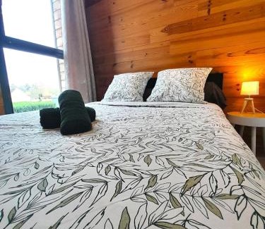 Le Poinconnet Villa | Sublime villa 9 pers- 5chb-pisicne-wifi