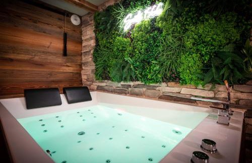 Benfeld Apartment | Suite & SPA 1566 Benfeld