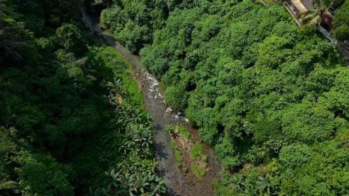 Kedewatan Villa | Sumeru Botanical Estate by LEAD Luxury