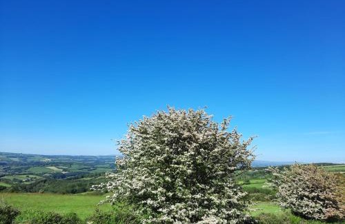 Saint Ann's Chapel Other | Summit Camping Kit Hill Rd Cornwall Panoramic Views Grass Pitch from 15pn or Bella Bell Tent 75pn