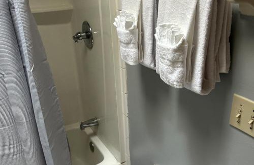 Arlington Apartment | Sun & Shine