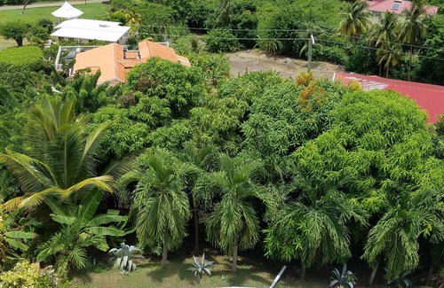 Bonne Terre Apartment | Sun West Villa, Coyaba - Sleeps 4 - with Shared Pool and Caribbean View