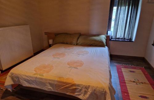 Sfendamion House | Sunflower Apartment