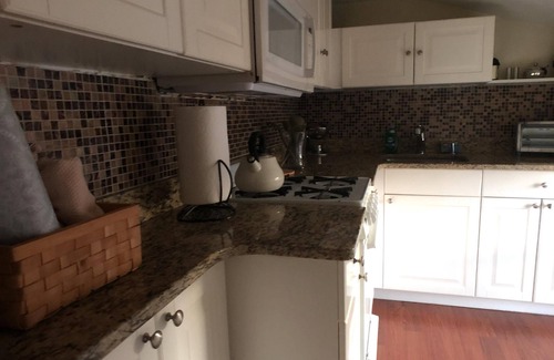Mount Vernon Apartment | Sunny Apt Near Hopkins Shuttle, UMMC & Peabody Conservatory JHU - 4 min Walk