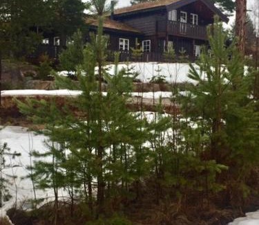 Treungen House | Sunny Cabin Near Gautefall