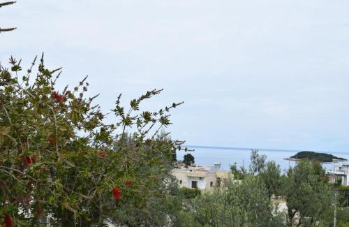 Ksamil Apartment | Sunset Cottage 1