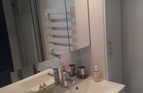 Quartier de la Goutte-d'Or Apartment | Superb apartment with patio, at the foot of Montmartre