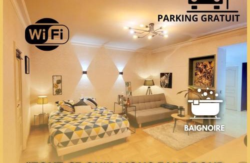 Graulhet Apartment | Superbe Appartement Calme et Spacieux