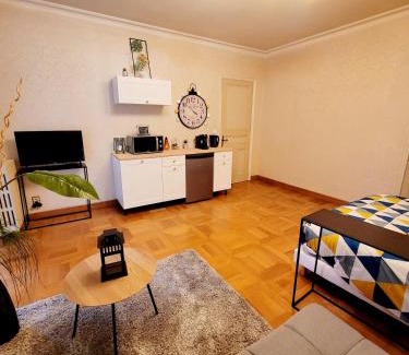 Graulhet Apartment | Superbe Appartement Calme et Spacieux