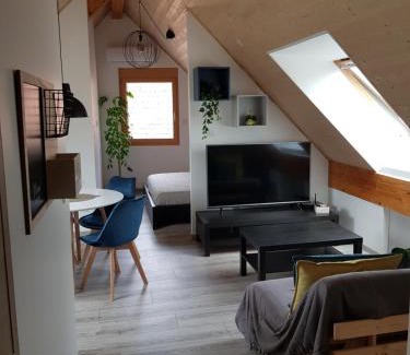 Pfettisheim Apartment | Superbe appartement type T1 proche Strasbourg