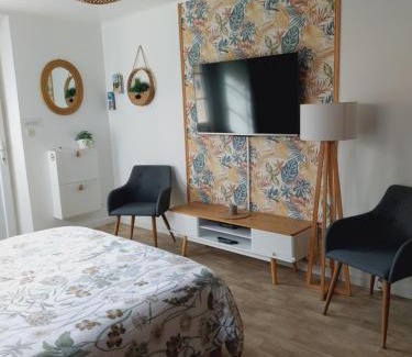 Poussan Apartment | superbe grand studio tout confort avec exterieur