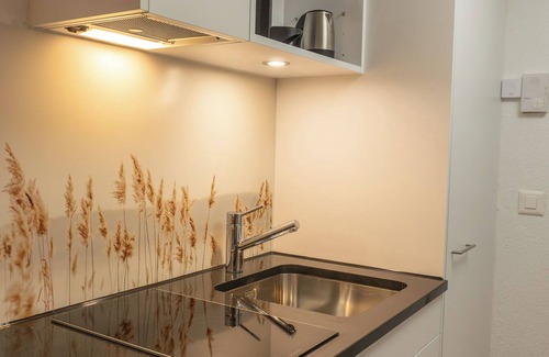 Darligen Apartment | Surfers Studio with pool and beach, near Interlaken and Grindelwald