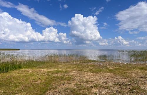 Viljandi County Other | Suure-Kuuse kämpingud otse järve kaldal