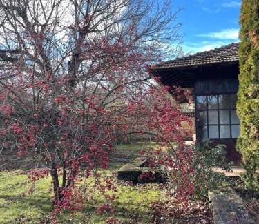 Veliko Tarnovo House | Sveti Georgi unique guest house