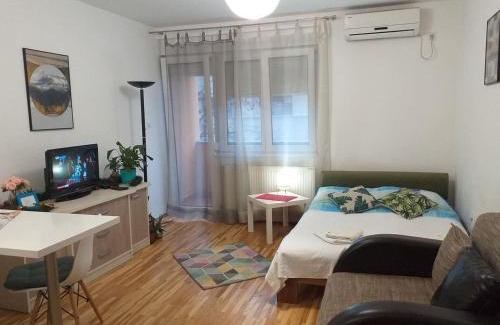 Novi Sad Apartment | Svilara