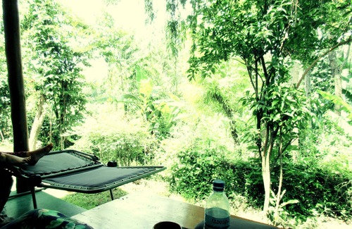 Nkoanrua House | Swai Hill Farm House